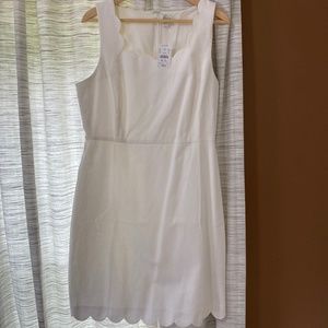 J. Crew Women's Dress NWT